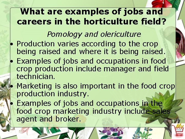 What are examples of jobs and careers in the horticulture field? • • Pomology