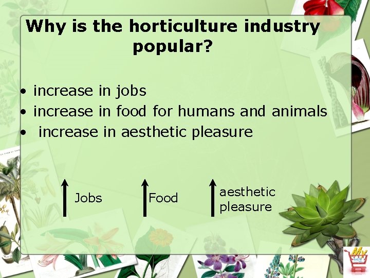 Why is the horticulture industry popular? • increase in jobs • increase in food