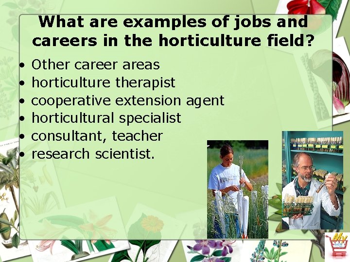 What are examples of jobs and careers in the horticulture field? • • •