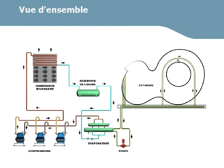 Vue d’ensemble Notre expertise à votre service 