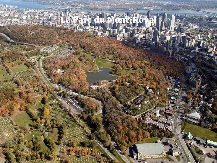 Le Parc du Mont-Royal Notre expertise à votre service 