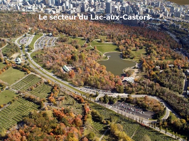 Le secteur du Lac-aux-Castors Notre expertise à votre service 