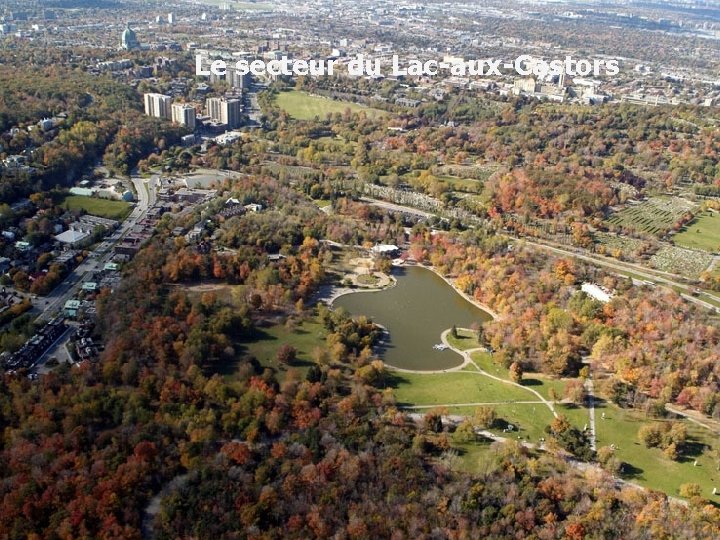 Le secteur du Lac-aux-Castors Notre expertise à votre service 