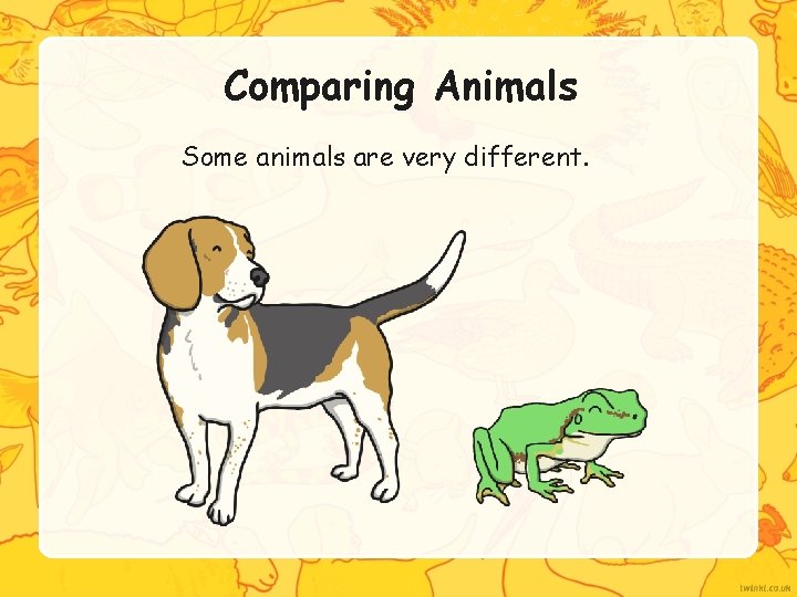Comparing Animals Some animals are very different. 