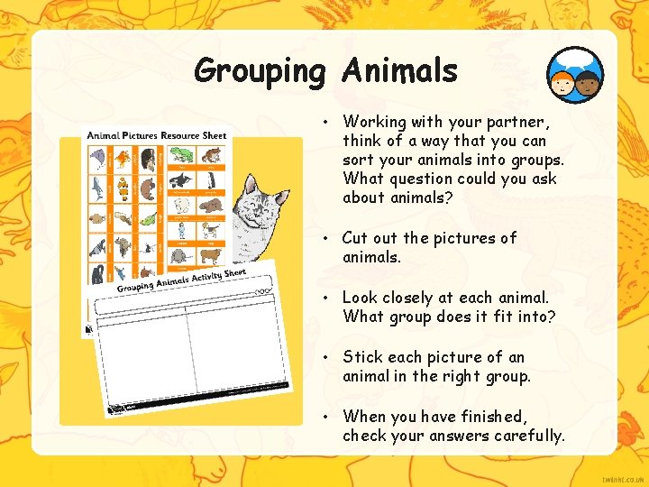 Grouping Animals • Working with your partner, think of a way that you can
