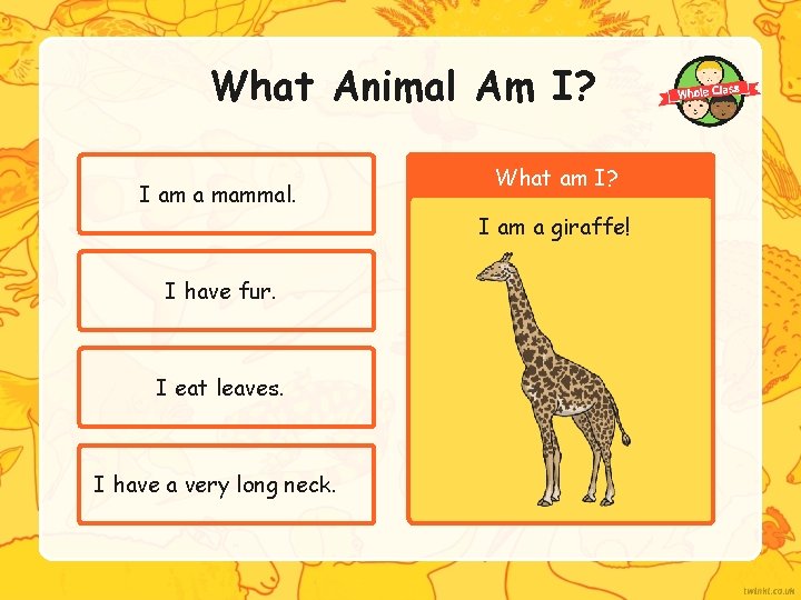 What Animal Am I? I am a mammal. What am I? I am a