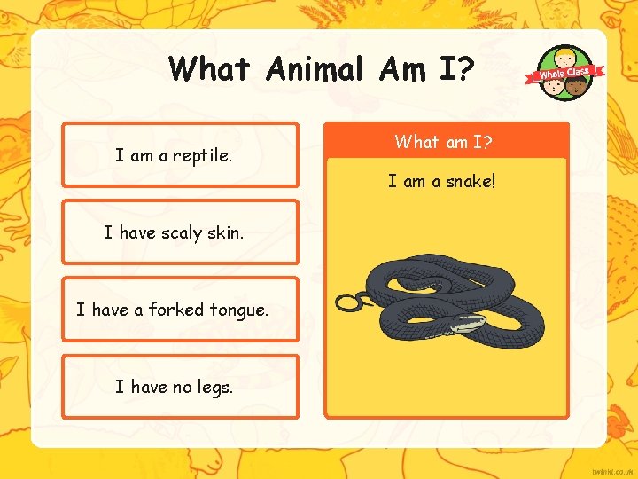 What Animal Am I? I am a reptile. What am I? I am a