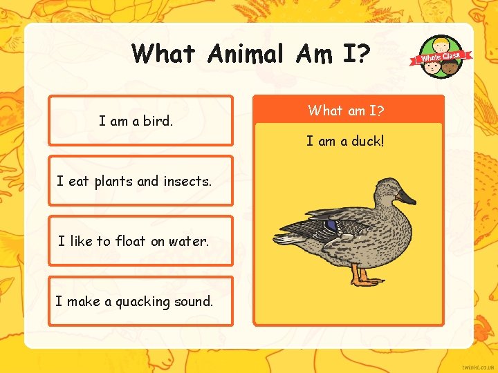 What Animal Am I? I am a bird. What am I? I am a