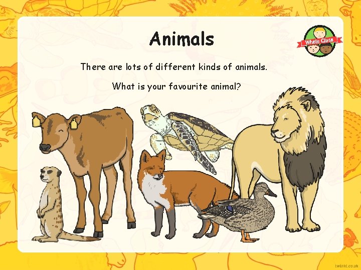 Animals There are lots of different kinds of animals. What is your favourite animal?