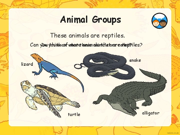 Animal Groups These animals are reptiles. Do you know animals Can you think of
