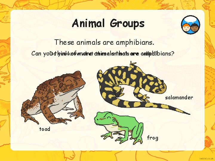 Animal Groups These animals are amphibians. Dothink you know what animals these animals are