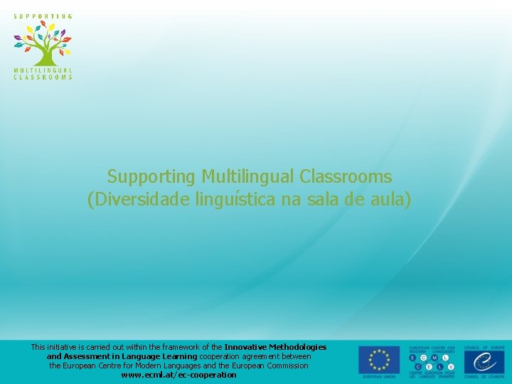 Supporting Multilingual Classrooms Diversidade lingustica na sala de
