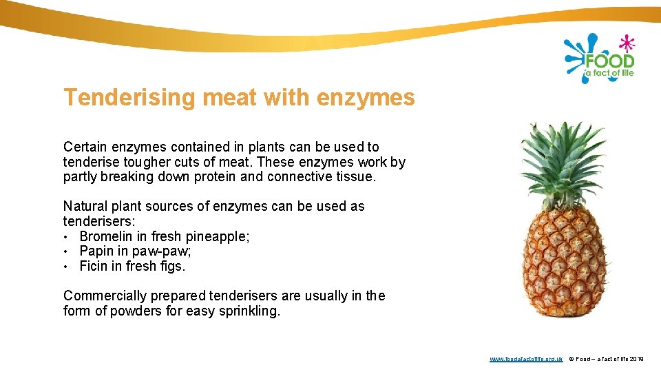 Tenderising meat with enzymes Certain enzymes contained in plants can be used to tenderise