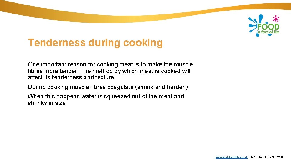 Tenderness during cooking One important reason for cooking meat is to make the muscle