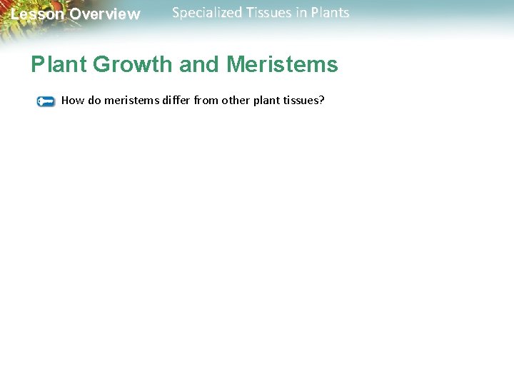 Lesson Overview Specialized Tissues in Plants Plant Growth and Meristems How do meristems differ
