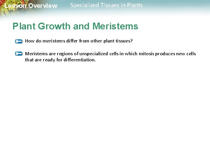 Lesson Overview Specialized Tissues in Plants Plant Growth and Meristems How do meristems differ