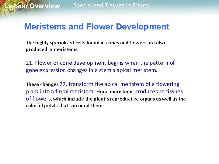 Lesson Overview Specialized Tissues in Plants Meristems and Flower Development The highly specialized cells