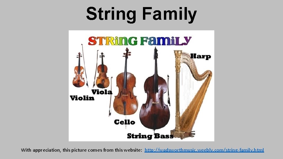 String Family With appreciation, this picture comes from this website: http: //wadsworthmusic. weebly. com/string-family.