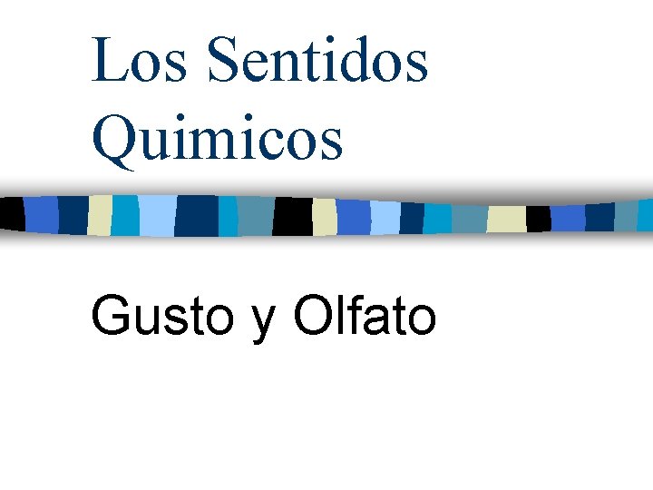 Los Sentidos Quimicos Gusto y Olfato Los Sentidos Quimicos Gusto y Olfato