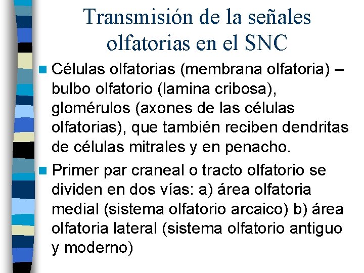 Transmisión de la señales olfatorias en el SNC n Células olfatorias (membrana olfatoria) – Transmisión de la señales olfatorias en el SNC n Células olfatorias (membrana olfatoria) –