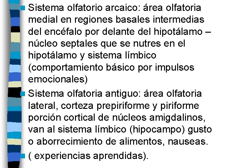 n Sistema olfatorio arcaico: área olfatoria medial en regiones basales intermedias del encéfalo por n Sistema olfatorio arcaico: área olfatoria medial en regiones basales intermedias del encéfalo por