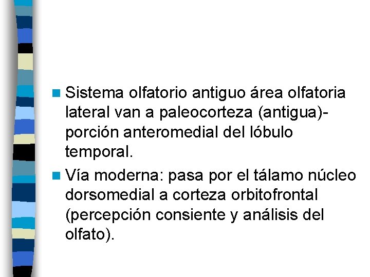 n Sistema olfatorio antiguo área olfatoria lateral van a paleocorteza (antigua)porción anteromedial del lóbulo n Sistema olfatorio antiguo área olfatoria lateral van a paleocorteza (antigua)porción anteromedial del lóbulo