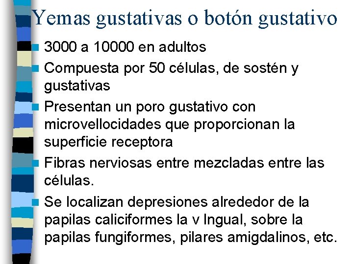 Yemas gustativas o botón gustativo 3000 a 10000 en adultos n Compuesta por 50 Yemas gustativas o botón gustativo 3000 a 10000 en adultos n Compuesta por 50