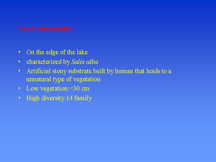 Land community: • On the edge of the lake • characterized by Salix alba