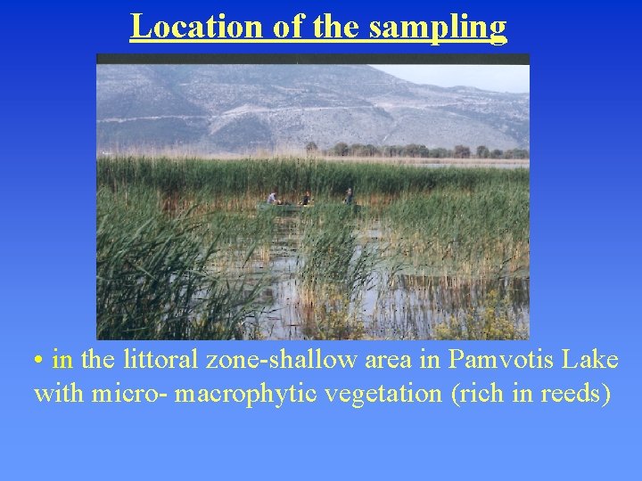 Location of the sampling • in the littoral zone-shallow area in Pamvotis Lake with