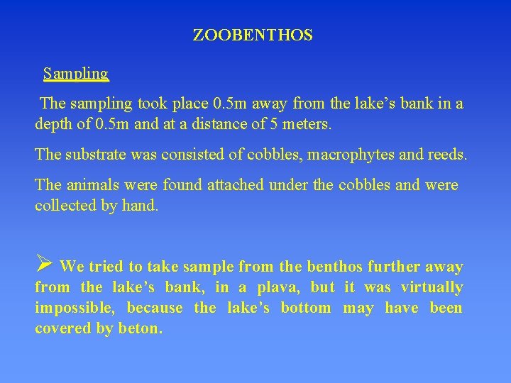 ZOOBENTHOS Sampling The sampling took place 0. 5 m away from the lake’s bank