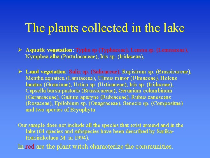The plants collected in the lake Aquatic vegetation: Typha sp (Typhaceae), Lemna sp. (Lemnaceae),