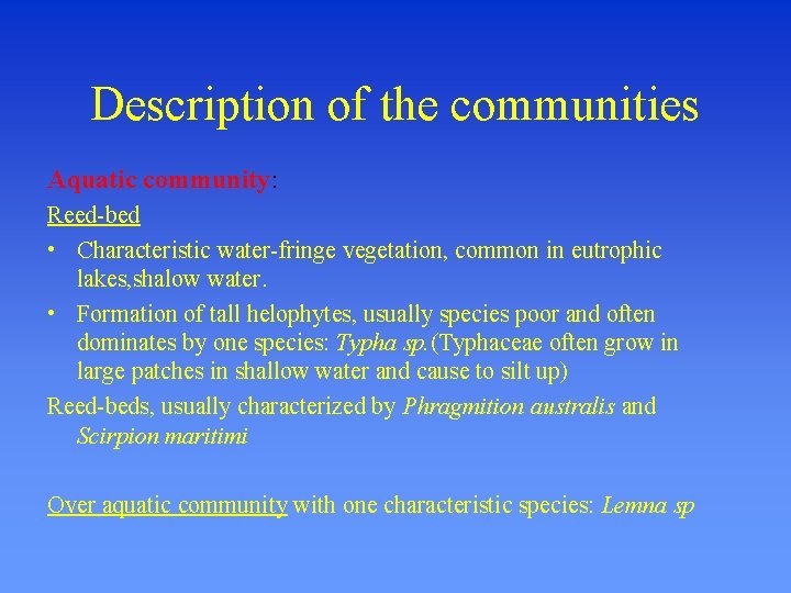 Description of the communities Aquatic community: Reed-bed • Characteristic water-fringe vegetation, common in eutrophic