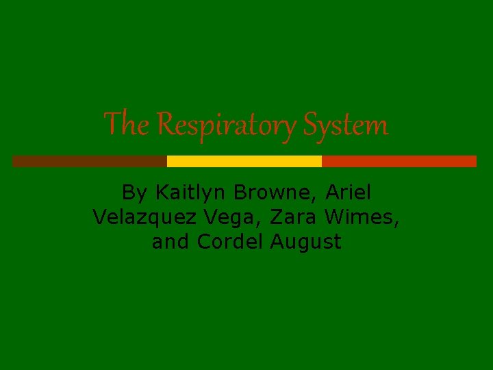 The Respiratory System By Kaitlyn Browne, Ariel Velazquez Vega, Zara Wimes, and Cordel August