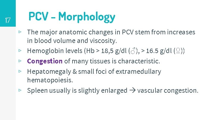 17 PCV - Morphology ▹ The major anatomic changes in PCV stem from increases