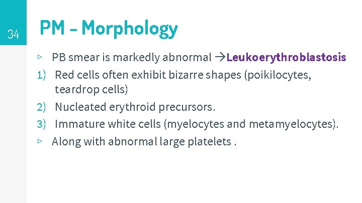 34 PM - Morphology ▹ PB smear is markedly abnormal Leukoerythroblastosis 1) Red cells
