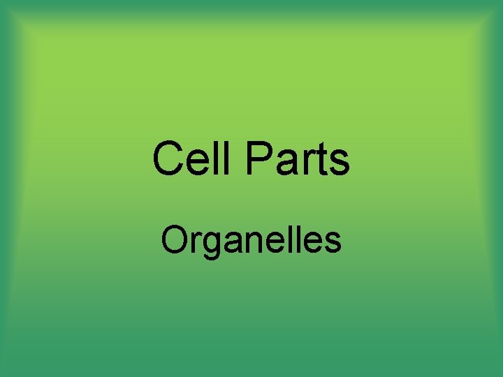 Cell Parts Organelles 