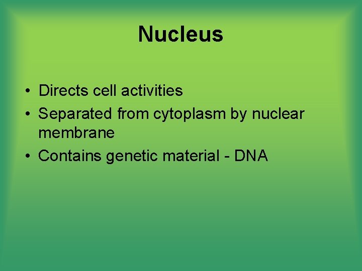 Nucleus • Directs cell activities • Separated from cytoplasm by nuclear membrane • Contains