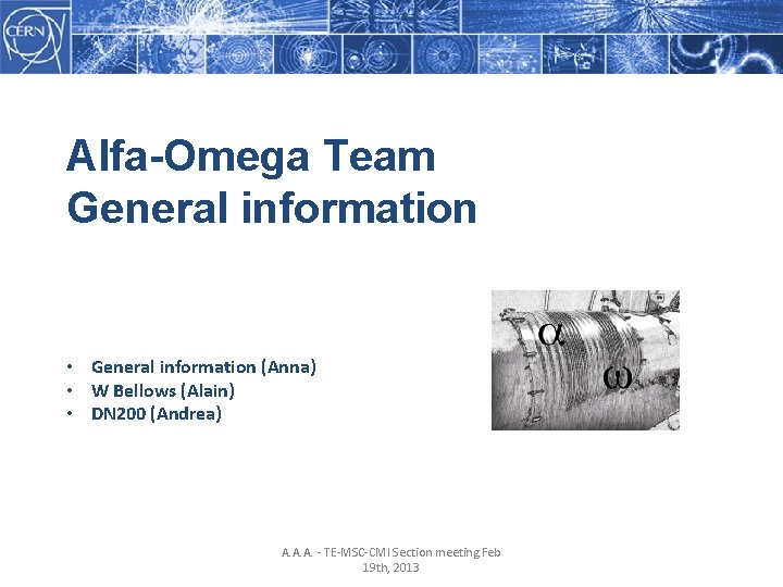 Alfa-Omega Team General information • General information (Anna) • W Bellows (Alain) • DN