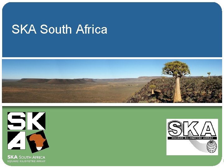 SKA South Africa 