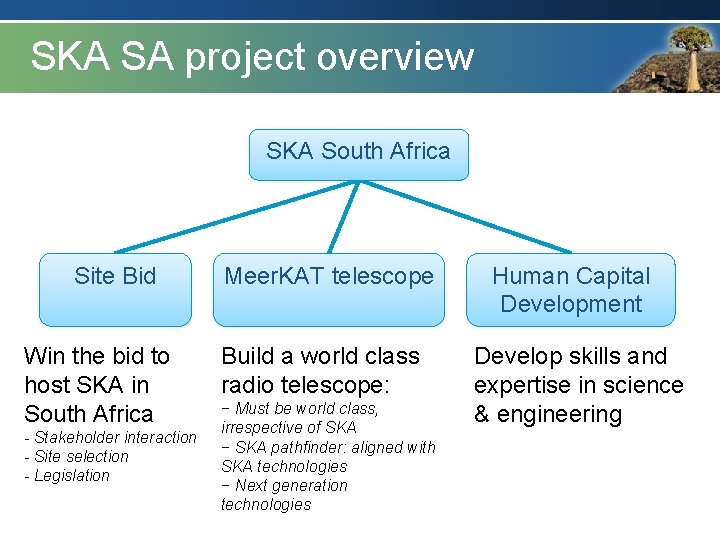 SKA SA project overview SKA South Africa Site Bid Win the bid to host