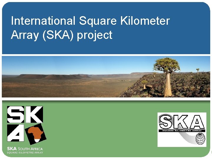 International Square Kilometer Array (SKA) project 