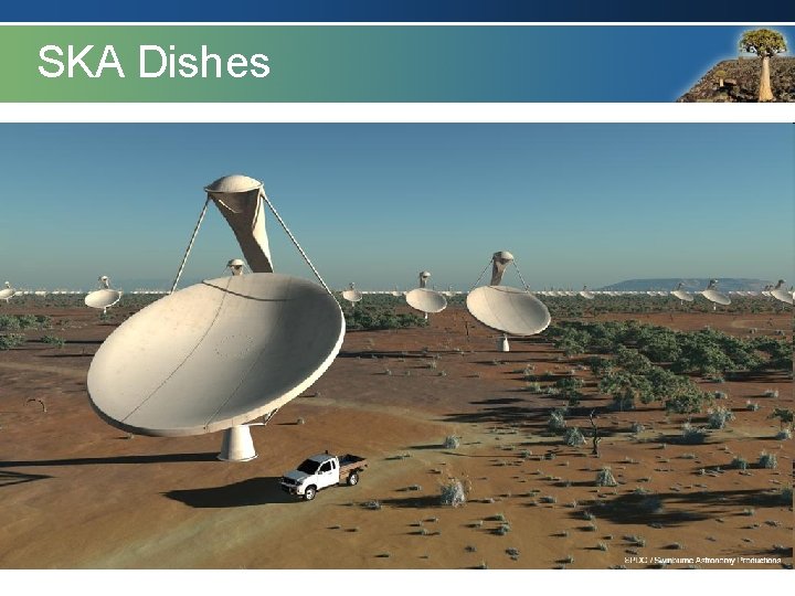 SKA Offset Dishes 