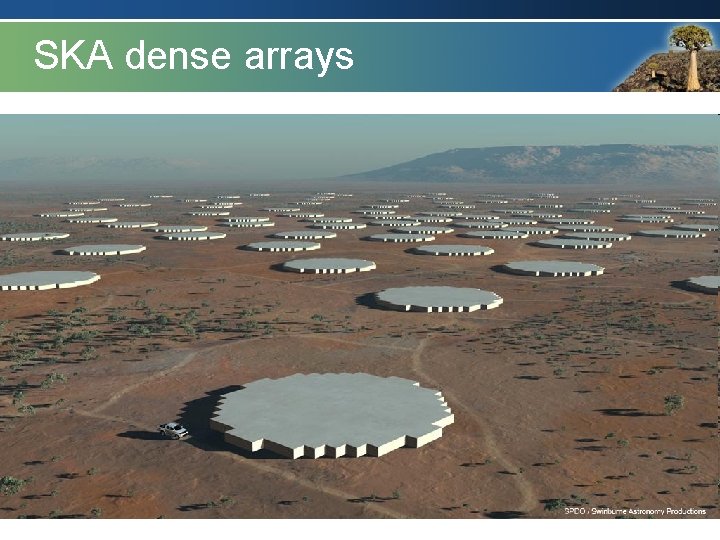 dense arrays SKA Dense Aperture Arrays 