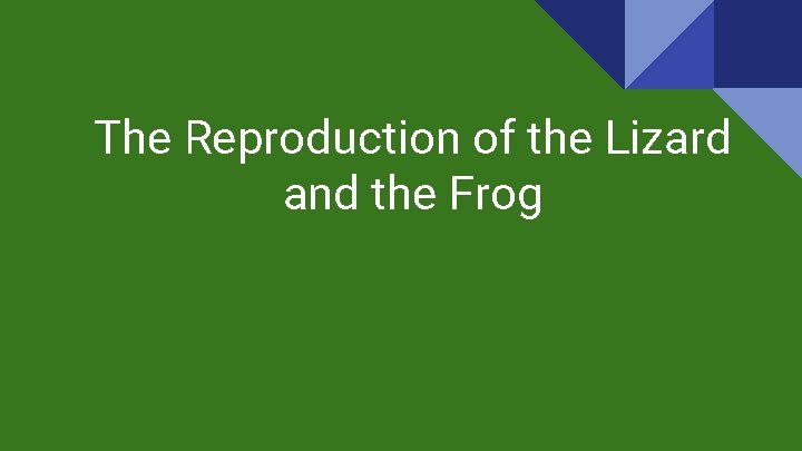 The Reproduction of the Lizard and the Frog 