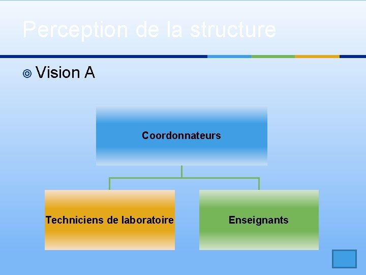 Perception de la structure ¥ Vision A Coordonnateurs Techniciens de laboratoire Enseignants 
