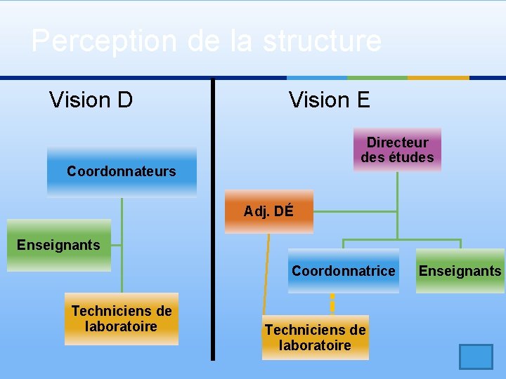 Perception de la structure Vision D Vision E Directeur des études Coordonnateurs Adj. DÉ