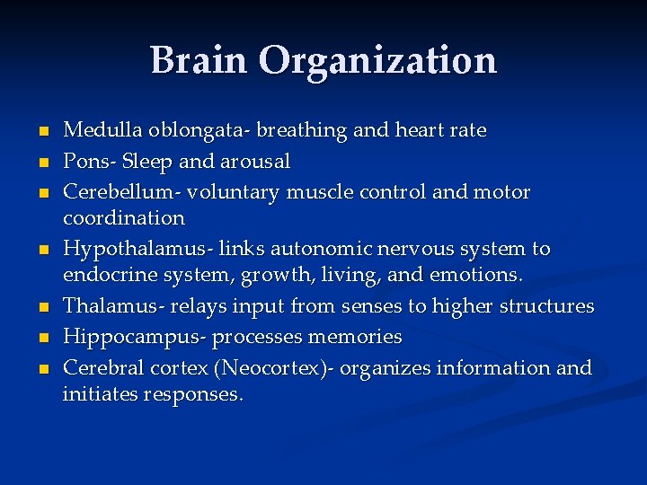 Brain Organization n n n Medulla oblongata- breathing and heart rate Pons- Sleep and Brain Organization n n n Medulla oblongata- breathing and heart rate Pons- Sleep and
