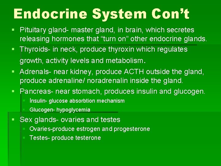 Endocrine System Con’t § Pituitary gland- master gland, in brain, which secretes releasing hormones Endocrine System Con’t § Pituitary gland- master gland, in brain, which secretes releasing hormones