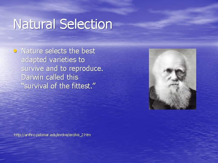 Natural Selection • Nature selects the best adapted varieties to survive and to reproduce. Natural Selection • Nature selects the best adapted varieties to survive and to reproduce.