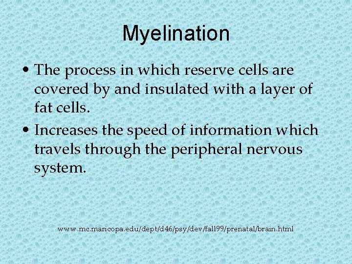 Myelination • The process in which reserve cells are covered by and insulated with Myelination • The process in which reserve cells are covered by and insulated with